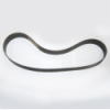 Belt J1168 J16 Gaspardo