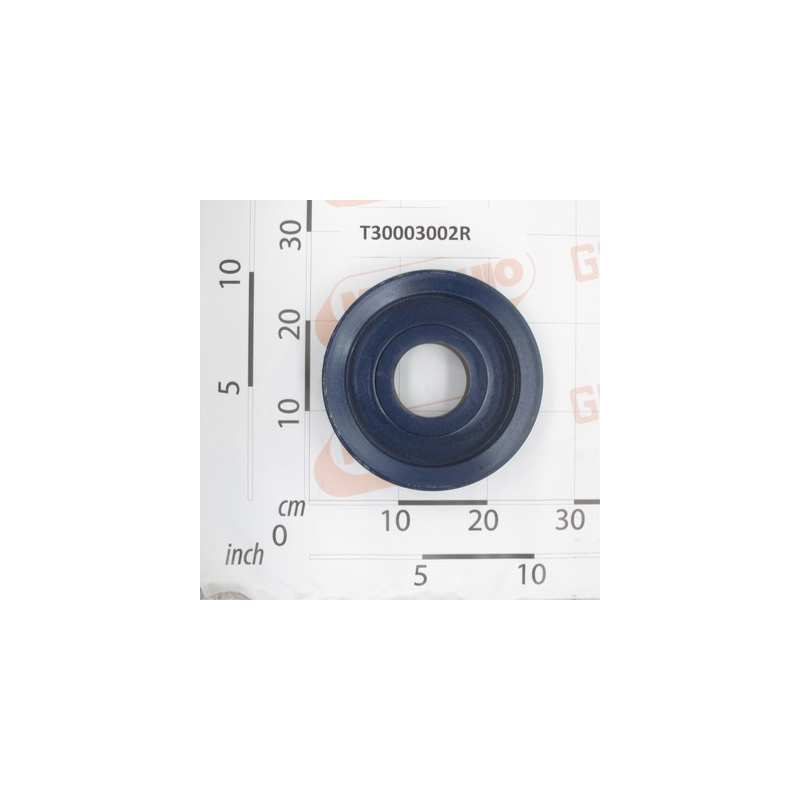 Polia D224 4V Maschio - T30003002
