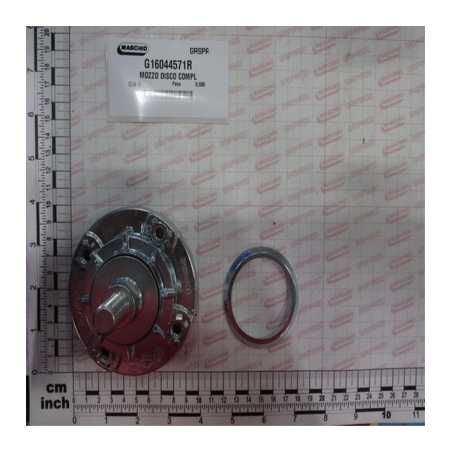 Chumaceira Discos Gaspardo - G16044571