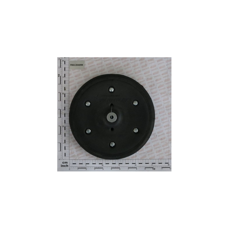Roda Compressão 250x42 Gaspardo - F06120409