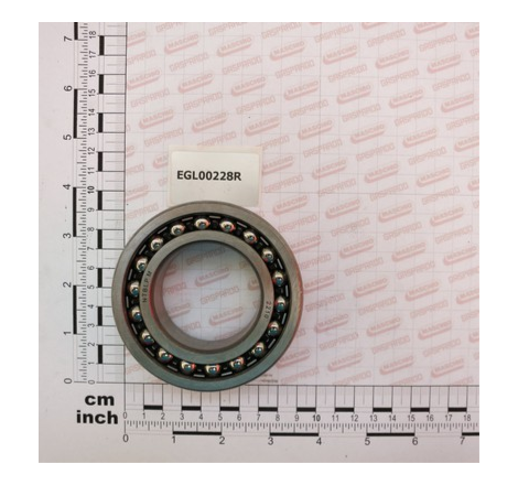 Rolamento 2210 Maschio - EGL00228