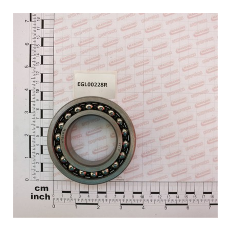 Rolamento 2210 Maschio - EGL00228