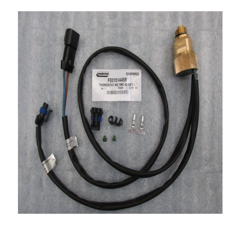 Termoestato MG TMS 46 Maschio - F03151445