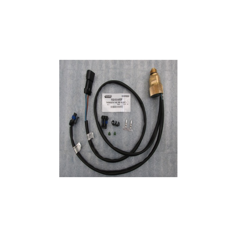 Termoestato MG TMS 46 Maschio - F03151445