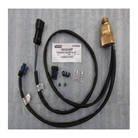 Termoestato MG TMS 46 Maschio - F03151445