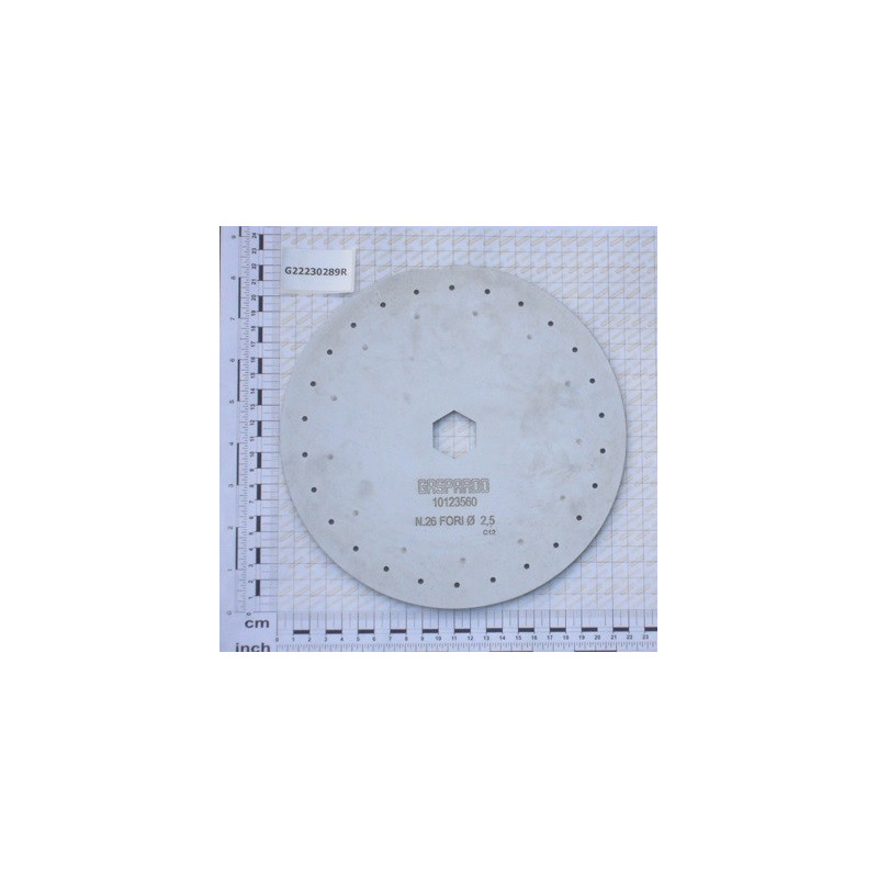 Discos 26 Furos 2.5mm Gaspardo - G10123560