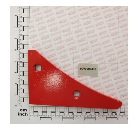 Raspa Aiveca Maschio - Direitas - EOV000032