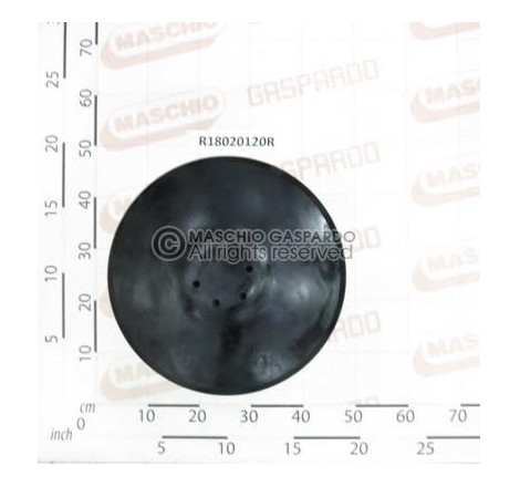 Discos 460x6 Maschio - R18020120