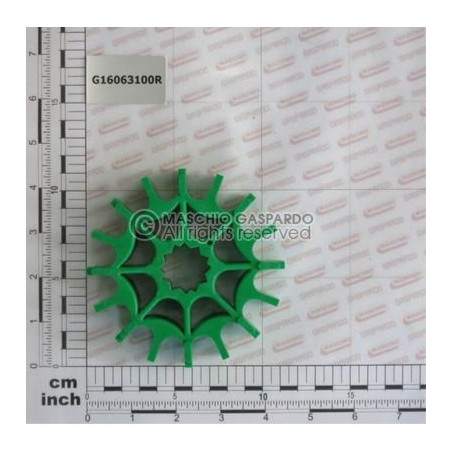 Elemento Rotor N100 Gaspardo - G16063100