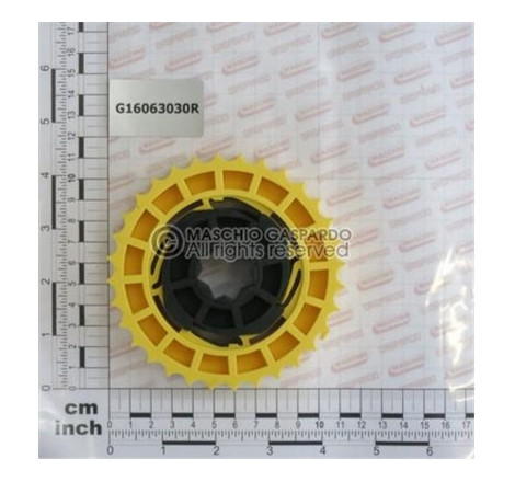 Elemento Rotor F25 Gaspardo - G16063030