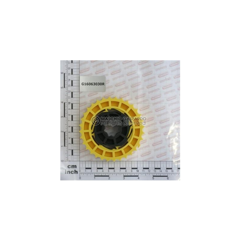Elemento Rotor F25 Gaspardo - G16063030