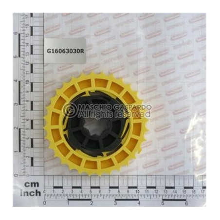 Elemento Rotor F25 Gaspardo - G16063030