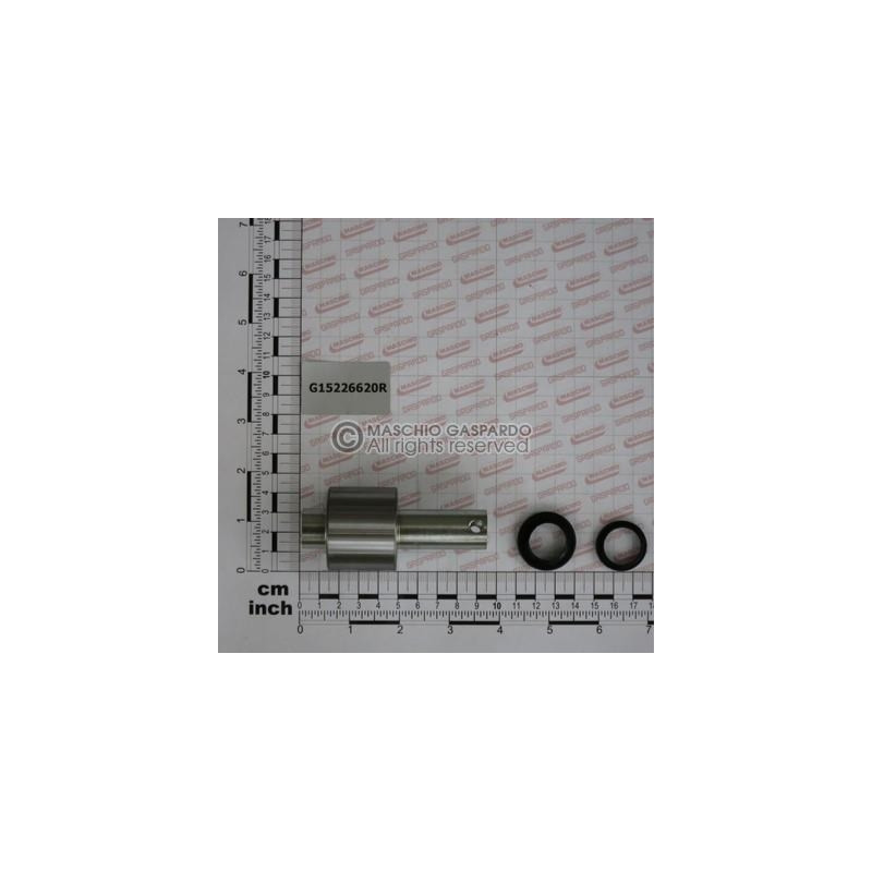 Kit Gaspardo Rolamento Roda - G15226620