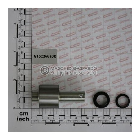 Kit Gaspardo Rolamento Roda - G15226620