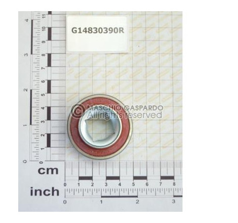 Rolamento Veio Quadrado Gaspardo - G14830390