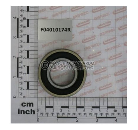 Rolamento 6206 Maschio - F04010174