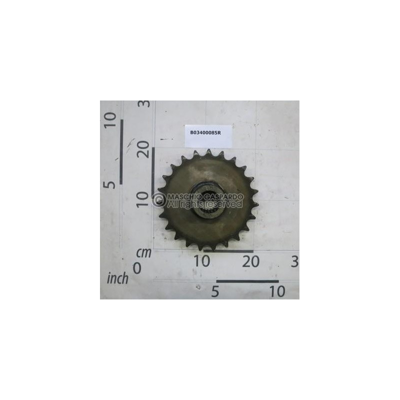 Carreto Z23 Maschio - B03400085