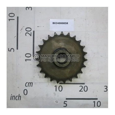 Carreto Z23 Maschio - B03400085