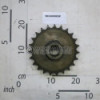 Gear Z23 Maschio