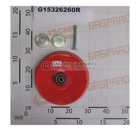 Roda Ferro Fundido Semeador Gaspardo - G15326260