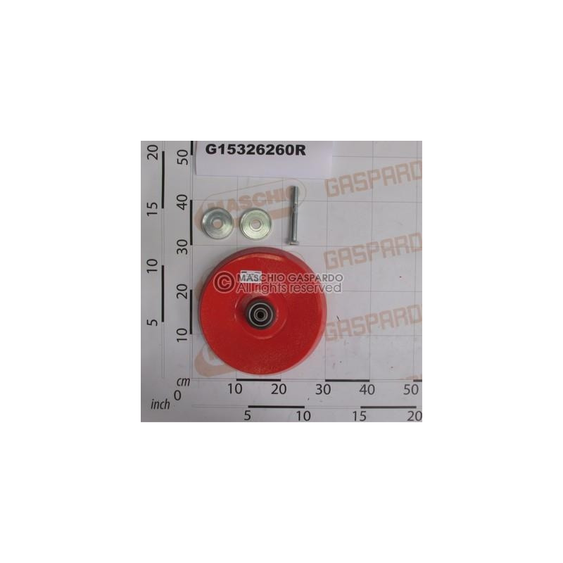 Roda Ferro Fundido Semeador Gaspardo - G15326260