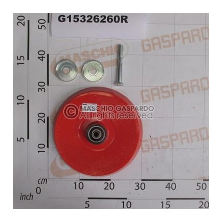 Roda Ferro Fundido Semeador Gaspardo - G15326260