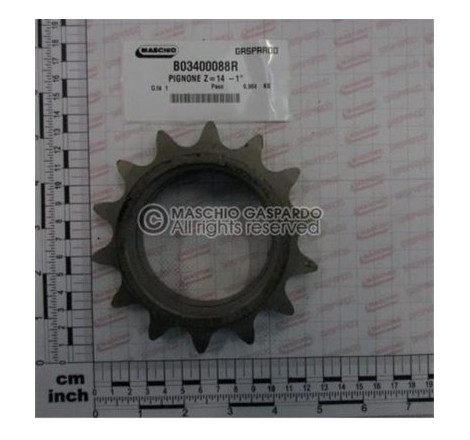 Pinhão Z14 Maschio - B03400088
