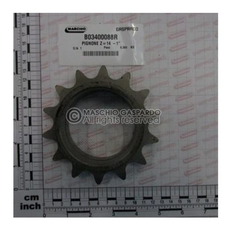 Pinhão Z14 Maschio - B03400088