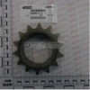 Pinion Z14 Maschio
