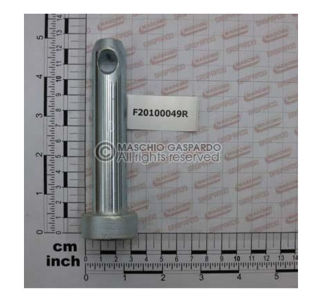 Cavilha D22 L86 C43 Maschio - F20100049