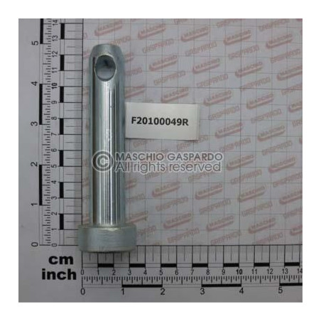Cavilha D22 L86 C43 Maschio - F20100049
