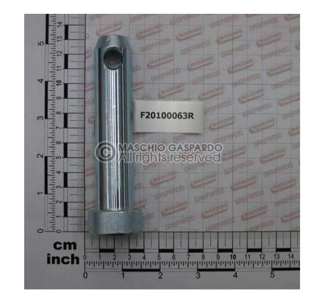 Cavilha D25 L91 C43 Maschio - F20100063