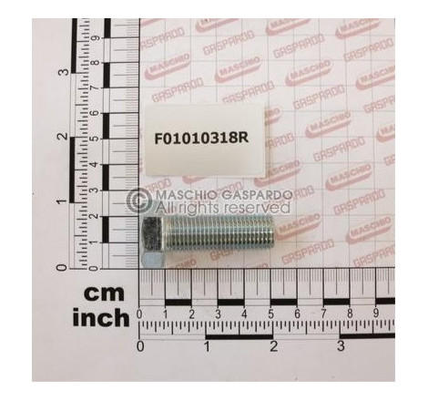 Parafuso M14x40 Maschio - F01010318