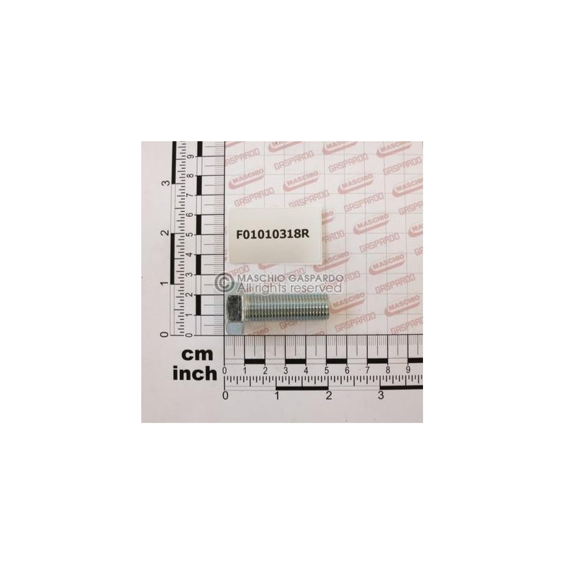 Parafuso M14x40 Maschio - F01010318