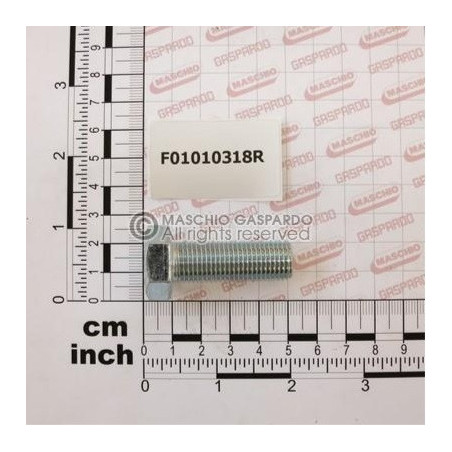 Parafuso M14x40 Maschio - F01010318