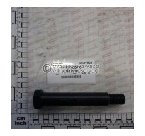 Cavilha Braço Artiglio Maschio - M76400254