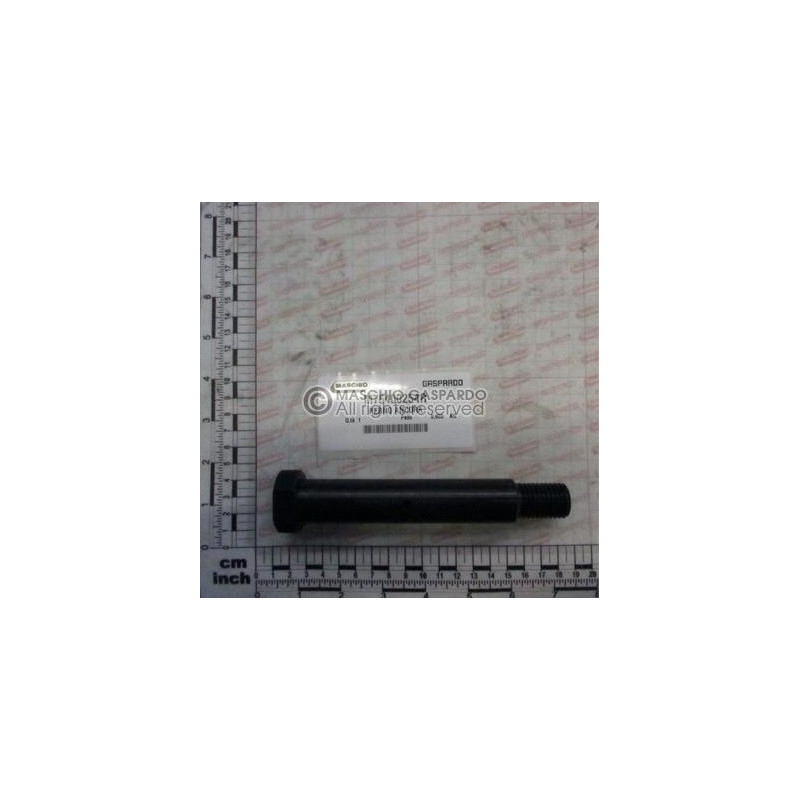 Cavilha Braço Artiglio Maschio - M76400254