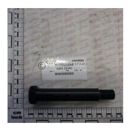 Cavilha Braço Artiglio Maschio - M76400254