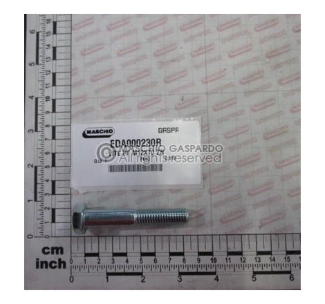 Parafuso 12x70 Maschio - EDA000230