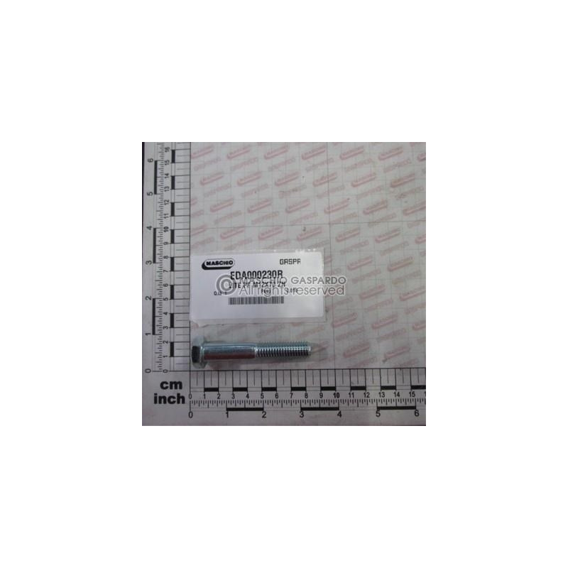 Parafuso 12x70 Maschio - EDA000230