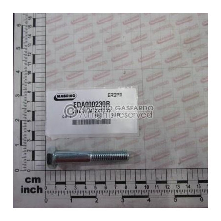 Parafuso 12x70 Maschio - EDA000230