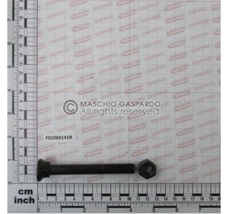 Parafuso M12x1.75x100 12.9 - F01060141