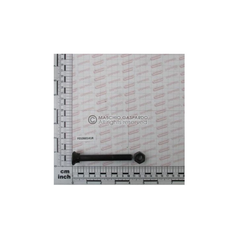 Parafuso M12x1.75x100 12.9 - F01060141