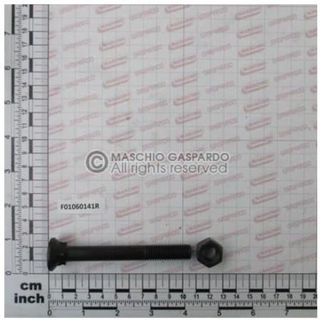 Parafuso M12x1.75x100 12.9 - F01060141