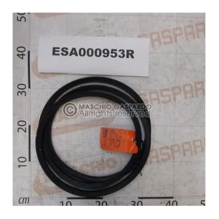 Correia SPB2650 Maschio - ESA000953