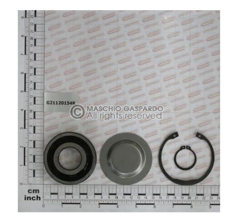 Kit Rolamento Externo Gaspardo - G21120154
