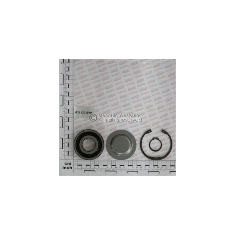 Kit Rolamento Externo Gaspardo - G21120154