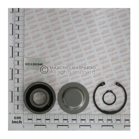 Kit Rolamento Externo Gaspardo - G21120154