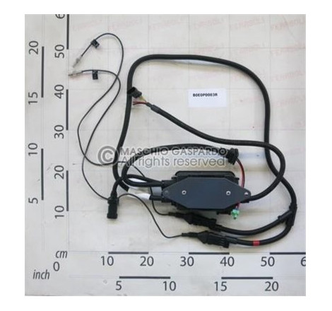 Módulo Fio Maschio - B0E0P0003