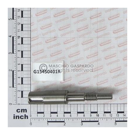 Veio Turbina Pneumática Gaspardo - G15450401